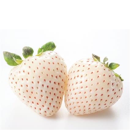 WHITE STRAWBERRIES IMPORTED PACK 125G