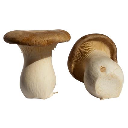 MUSHROOMS KING OYSTER PC 200G