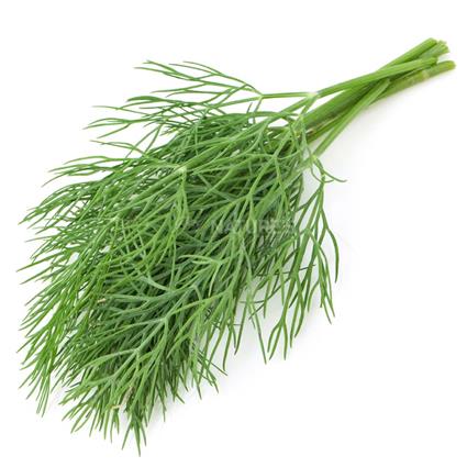 Dill Fresh - Natures Basket