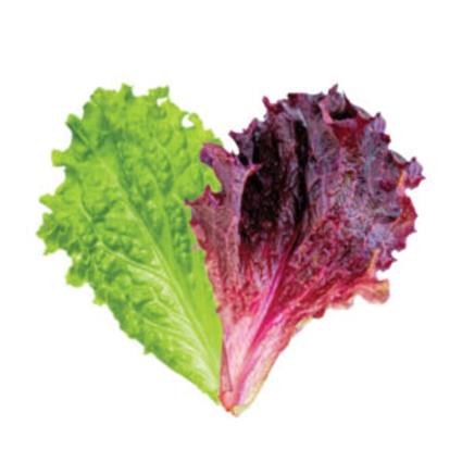 Mix Lettuce 200G