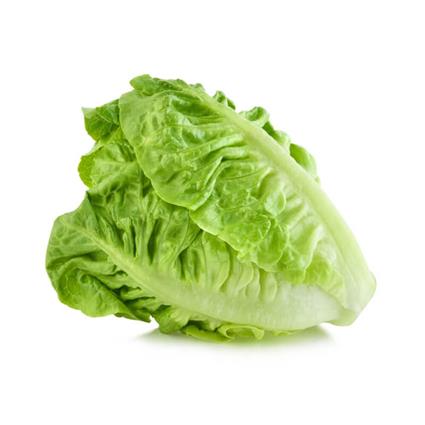 Romaine Lettuce 100G