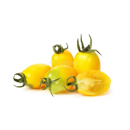 Tomato Yellow Cherry  -  Organic