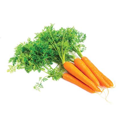 Baby Carrot Pack