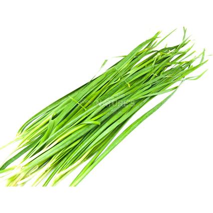 Garlic Chives