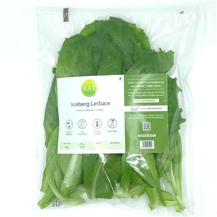 Hydroponic Iceberg Lettuce 75G