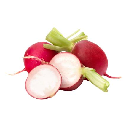 Fresh Baby Radish Red Imported