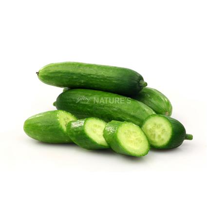 Surati Cucumber Green