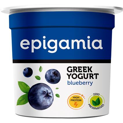 Epigamia Blueberry Yoghurt 90G Cup