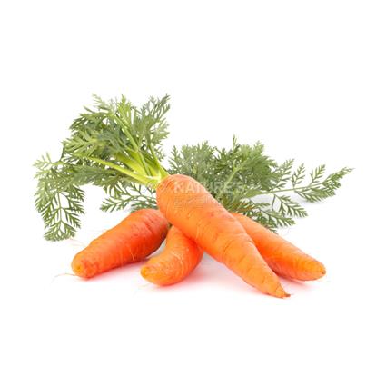 Baby Carrot - Exotic
