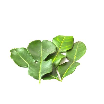 Kaffir Lime/Makroot Leaves  -  Organic