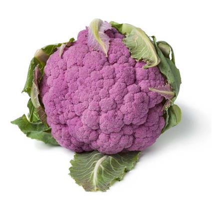 Cauliflower Violet