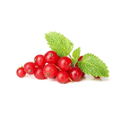 Red Currant Pc