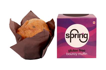Sprinng Gluten Free Blueberry Muffin, 90G Pack