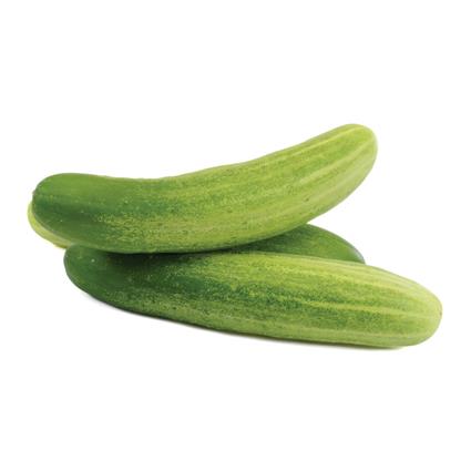 Surati Cucumber Green Kg Loose