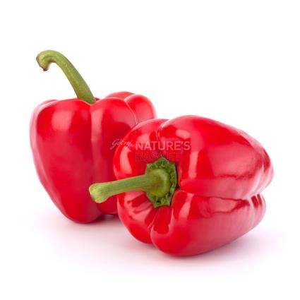 Capsicum Red