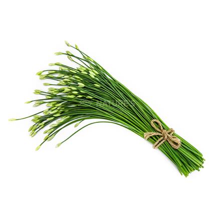 Garlic Chives