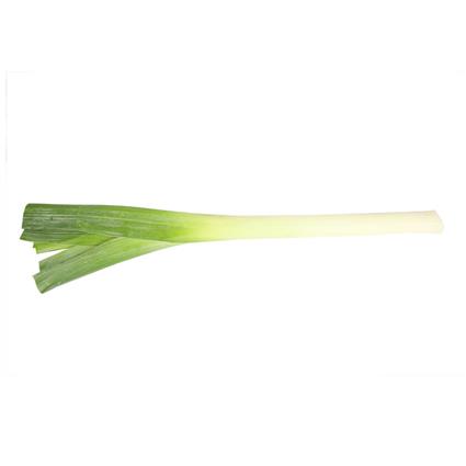 Natures Leek