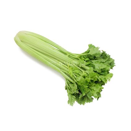 Celery - Exotic