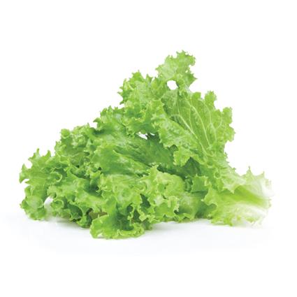 Lettuce Leaf Pc
