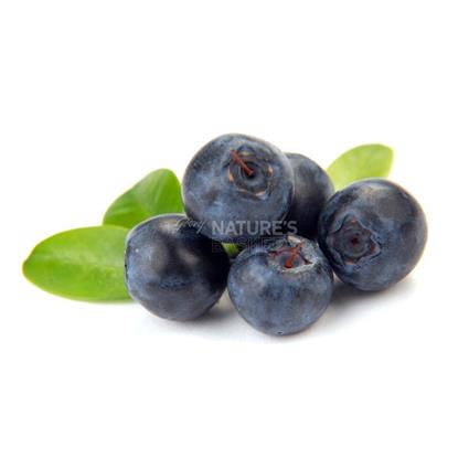 Blueberries Combo
