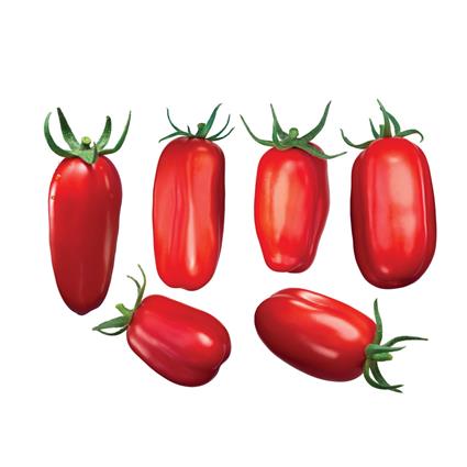 San Marzona Tomato Speciality Pack 200 Gm