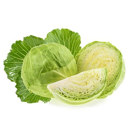 Cabbage  -  Organic