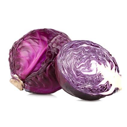 Cabbage Red  -  Organic