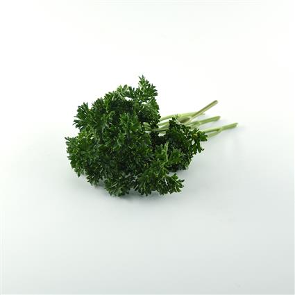 Curly Parsley